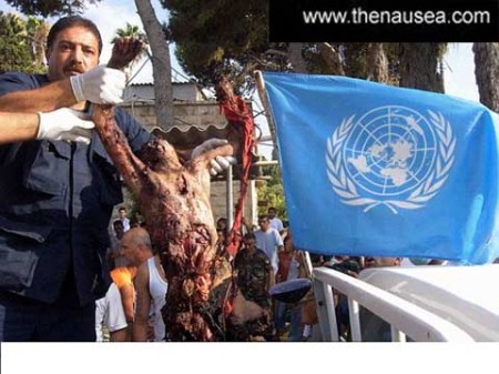 Enfant libanais sous la protection de l'ONU